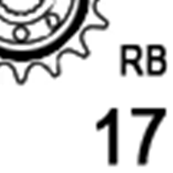 Ritzel JT Sprockets gummiert